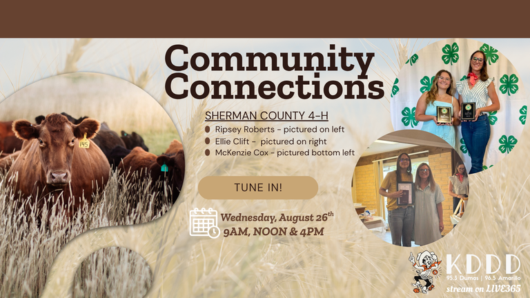 Brown Cream Modern Livestock Farm Presentation